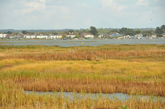 08 10 14_9240_edited-1.jpg